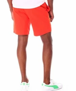 Puma (warm Earth Michelada Short)