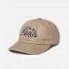 Eight & Nine (tan Flash Dad Hat)