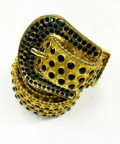 Dna Premium Belts (black/gold)