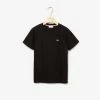 New Arrivals Lacoste (kids T-shirts)