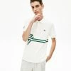 Lacoste (Men's Stripe Print Polo)