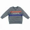Lacoste (kids Gray Sweater) New Arrivals