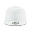 Planes (white Snapback)